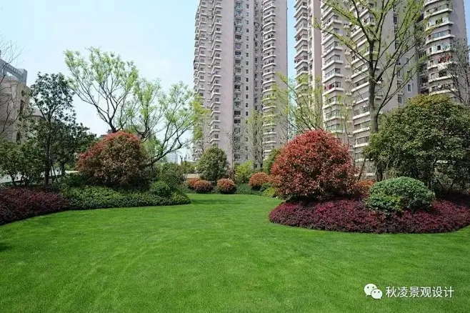 高Bigger的植物配置实景图-花瓣网