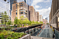 New High Line Bridge: A Safe, Ecological Connection - Image 6 of 7