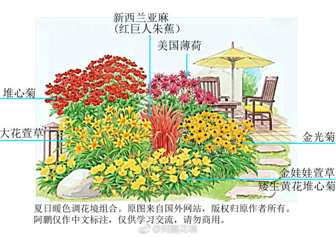 夏日暖色调花境图文示例7组合集，89为荫...