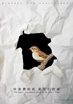 公益海报 森林