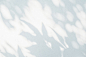 点击来源直接获取大图文件 |Shadow and sunshine of leaf reflection. Jungle leaves tree gray darkness shade and light on wall wallpaper, shadows overlay effect, mockup design. Grey tropical shadow foliage artistic background