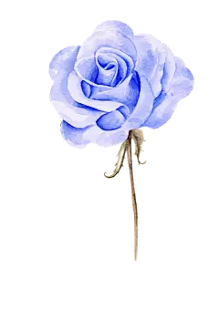 手绘花 蝴蝶 叶子 花环 钻石 花瓣 png素材