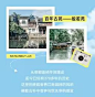 清爽风春游旅游路线宣传微信公众号文章长图_设计页－稿定设计