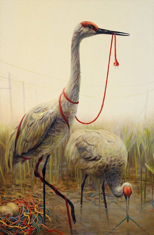 Martin Wittfooth Exp...