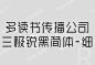 在线购买「三极锐黑简体-细」商标字体注册字体服务 -字体视界