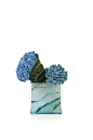 Collezioni: Floreali | Armani/Fiori: Muscari e foglia di clarinervium su vaso plexiglass marmo azzurro.: 