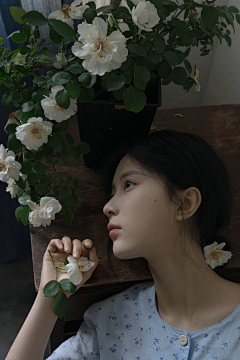 人间幻梦采集到美女