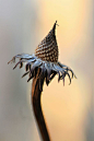 (273) Pinterest