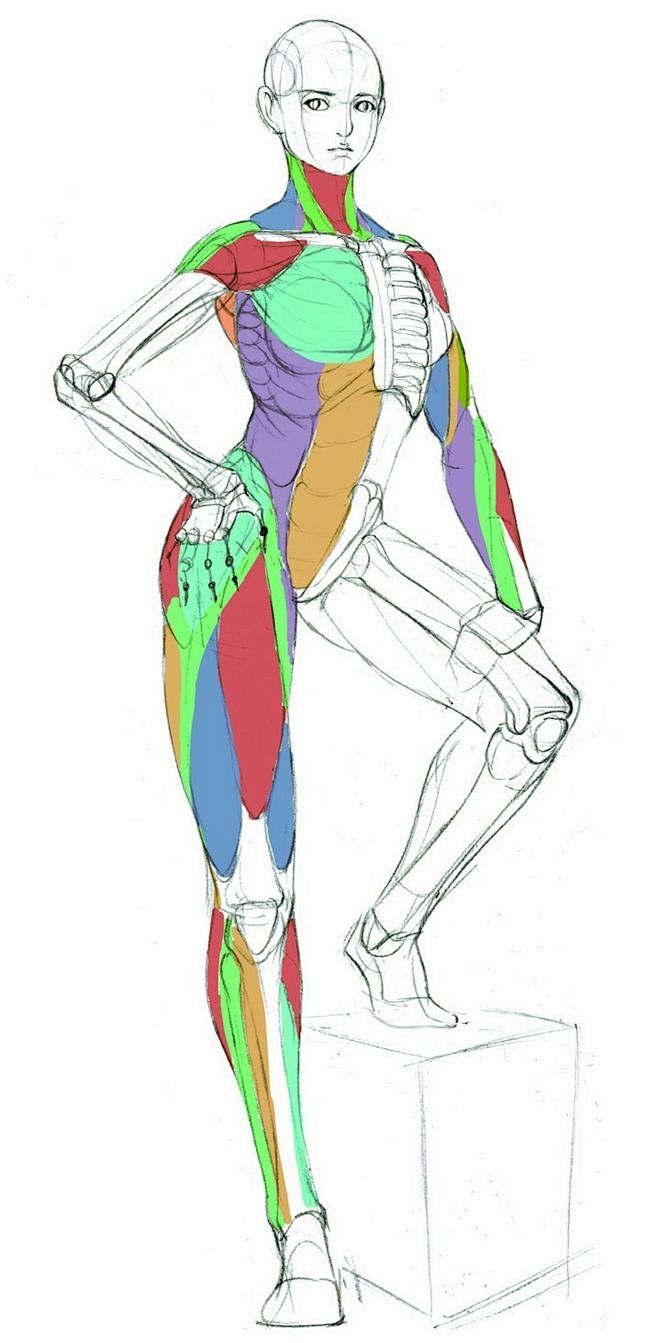 填写作品的相关描述