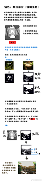 微博 – 随时随地发现新鲜事