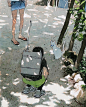 插画师 성률 笔下的盛夏 ​​​​