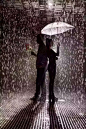 雨屋
