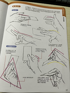 凌七555采集到啥时候能学会画手脚