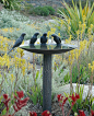 600mm Lorikeet Birdbath  www.williewildlifesculptures.com.au/product/lorikeet-birdbath/#: 