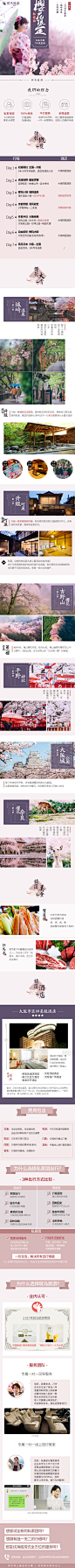 关西樱花限定#斑马旅游#