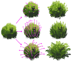 tdP7BIyi采集到植物