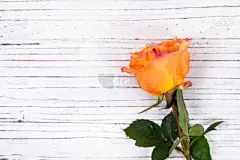 玫瑰,背景,木制,贺卡,浪漫,情人节卡,婚礼,春天,乡村风格,礼物