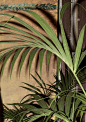 Exotic blooms and lush plants on the season's accessories and men's jackets.  : Dark Paradise