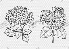 花朵 【酷图网】花纹线稿,插画,花之物语,花艺,花朵,花瓣,插花艺术,园艺,园林,花,花卉,玫瑰,月季,简笔画,漫画,线描,线稿,矢量玫瑰花,矢量玫瑰,矢量花朵,矢量花,剪影,玫瑰花剪影,花朵剪影,印花,植物,镂空花纹,镂空玫瑰,矢量花纹,花纹,镂空雕刻,盆栽,花朵简笔画,简笔花,黑白画,线条花朵,线条花纹