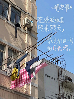 K小绵羊采集到场景海报