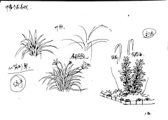 Fleming洲采集到手绘