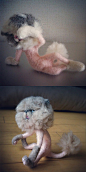 【玩偶/创意】nosonoso（のそ子）是日本的一位手工艺者，擅长毛毡质地的玩偶制作，作品中有一些可爱的动物，但大多造型另类古怪，比如刚出生的熊、骨头、秋刀鱼等，http://t.cn/zW1Mwol。