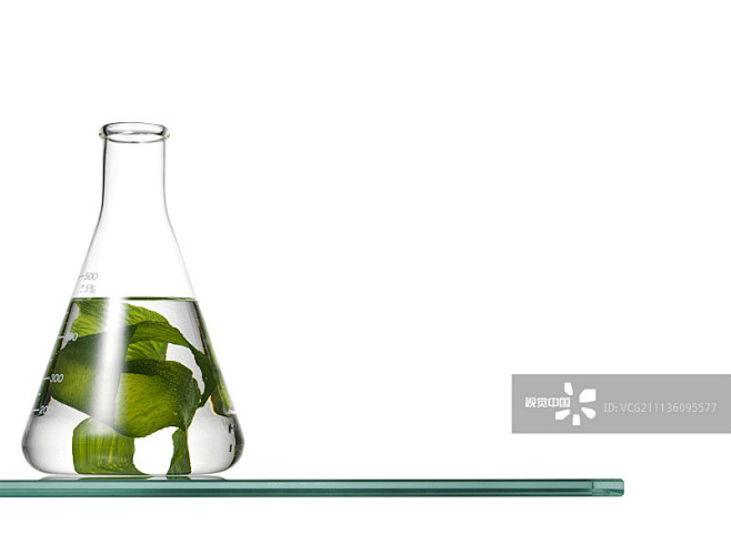 烧瓶,平衡折角灯,海草,实验室玻璃器皿,...