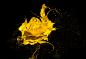 Alex Koloskov在 500px 上的照片Yellow Splashing Rose