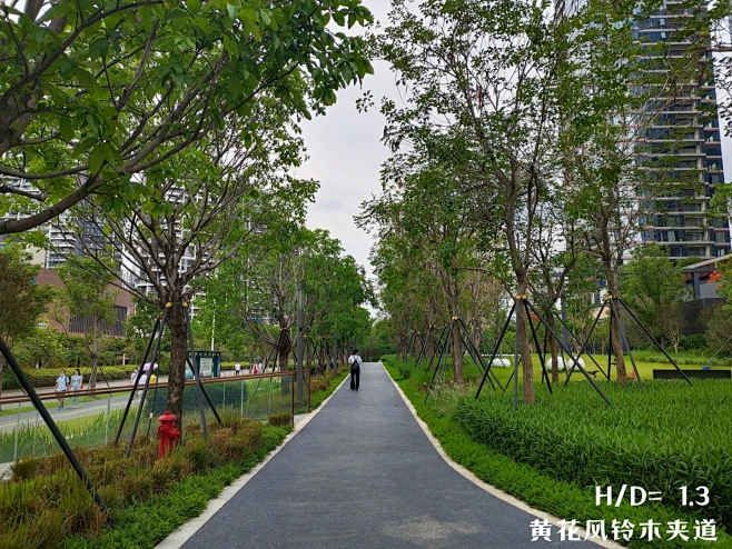植物景观·夹道【7】|常用开花树种【上】...