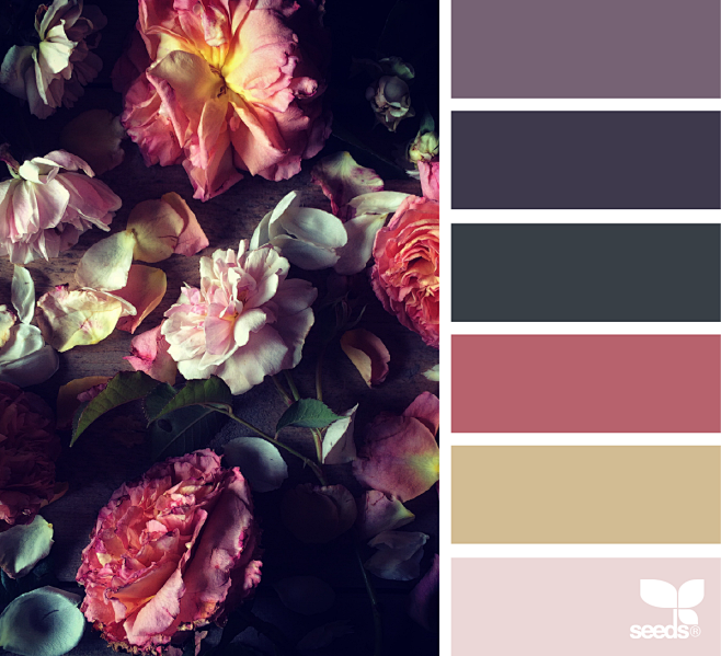 { flora palette } im...