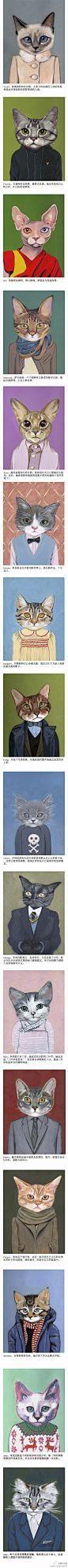 Heather Mattoon，美国加州女#插画#家。《A Cat in Clothes》系列插画的灵感来自她的喵星人Megan，她认为人类应该像喵星人一样，保持热情坚守精神，有自己的风格，不要在意别人的看法。看看你属于哪一种喵星人呢？