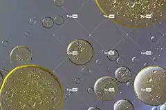 油在水中 体液 抽象的 美丽的壁纸 质地 宏 油 壁纸4K