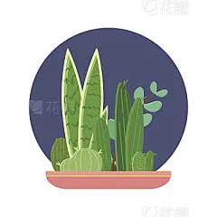 Cactus plant pot garden, modern natural home miniature green corner decoration. Flat vector illustration.