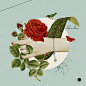 Top Creative Work On Behance : Showcase and discover creative work on the world's leading online platform for creative industries.