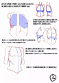 【绘画教程】如何画好女性最重要的部位之一【胸部】？