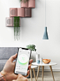 greenery_air_purifier_08
