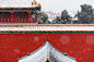 一场#紫禁城的初雪#，让这座城跟你一起白了头 ​​​​