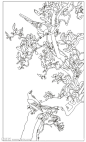 玉兰花鸟