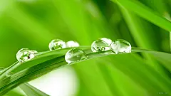 清爽夏天清晨的绝美露珠[20P]