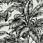 Tropical Leaves