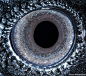金剛鸚鵡－不知道為什麼，讓人錯覺是史前怪物……


雲雀－可愛的小雲雀，眼神卻出乎意料的成熟。


暹羅貓－凝視後，竟覺得它愈來愈像海底火山。


白化虎蟒－索倫之眼縮小版！


鬣蜥－這樣的瞳孔，盯久會不自覺發毛。


哈士奇狗－你的迷人藍眼就像隻巨大的海洋魚。


牛－呈現一字的瞳孔，是否就是眨眼的瞬間？


鴨－就像個黑暗漩渦，彷彿會把人吸入其中。


蛇怪蜥蜴－詭譎的黃綠色瞳孔，沒有動物比你更適合。


烏鴉－彷彿暗色調的圖騰，訴說著不可告人的祕密。


凱門鱷－滿布紋路的瞳孔，幸好顏色並非鮮紅…