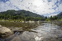 野鸭在山湖上流动