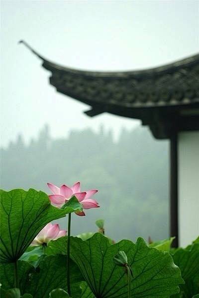 #建筑##风景##古风##摄影##自然#