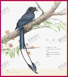 大盘尾 【酷图网】手绘古风植物,彩色油画,油画风景,绿草鲜花,植物,树草,古风风景,植物元素,植物素材,树枝,树枝花鸟,树枝素材,树枝插画,插画元素,插画素材,插画装饰,节气元素素材,手绘树枝,手绘插图,春天元素,春天素材,初春,初春元素,初春素材,立春,夏季元素,植树节元素,植树节素材,古风植物