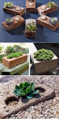 DIY Succulent Planters Of Used Bricks: 