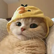白学公主45