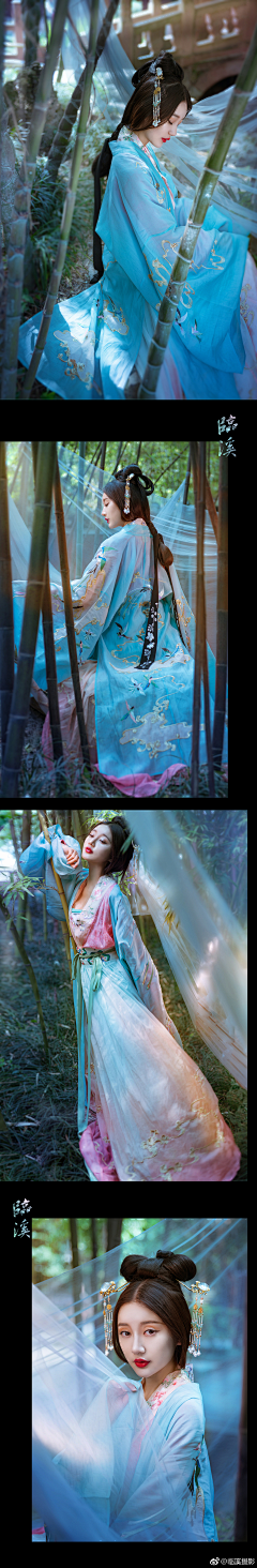 蔡蔡酱酱采集到美人