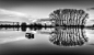 Mirror : www.mariovisser.com  Follow me on  Facebook
