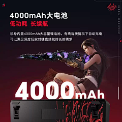 三只小耳朵采集到箱包-排版参考