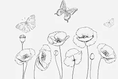 黑色线描花卉图宝宝 https://bao16.com 罂粟 蝴蝶 线描 黑色 手绘 花卉 线描花矢量图 植物 线条手绘